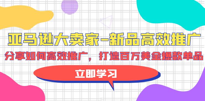 （9945期）亚马逊平台 大卖家-新产品高效率营销推广，共享如何有效营销推广，打造出百万美金爆款单品-蓝悦项目网