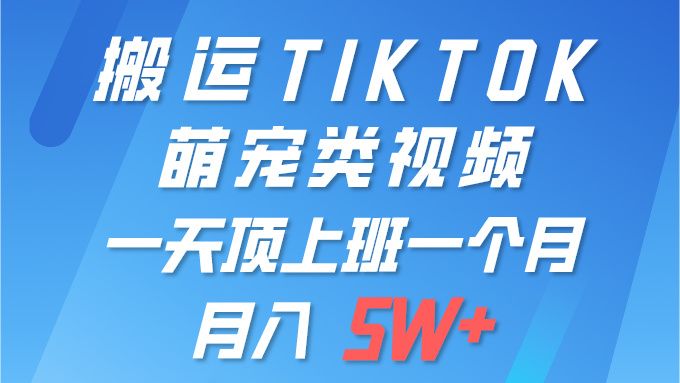 （9931期）一键运送TIKTOK萌宝类视频 一部手机即可操作 所有平台都可公布 轻轻松松月入5W-蓝悦项目网