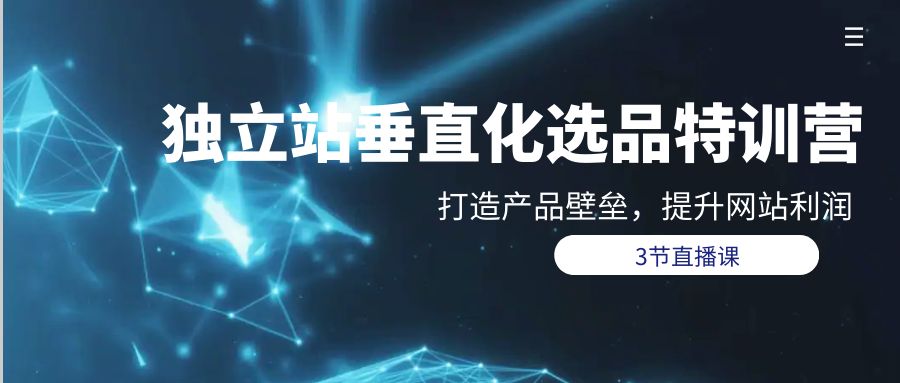 （9925期）自建站-垂直领域选款夏令营，打造出产品壁垒，提升关键词盈利（3节视频课堂）-蓝悦项目网