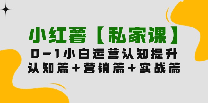 （9910期）小红书【私人课】0-1轻松玩小红书的内容运营，认知能力篇 营销推广篇 实战篇（11堂课）-蓝悦项目网