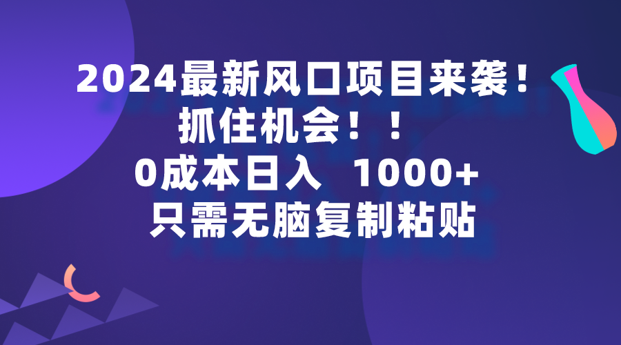 （9899期）2024全新蓝海项目来临，把握机会，0成本费一部手机日入1000 ，仅需没脑子复…-蓝悦项目网