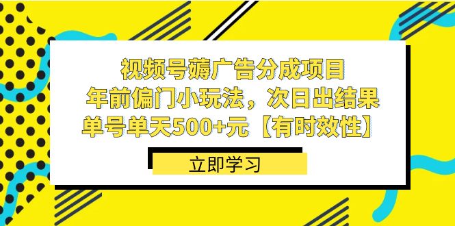 视频号薅广告分成项目，年前偏门小玩法，次日出结果，单号单天500+元【有时效性】-蓝悦项目网