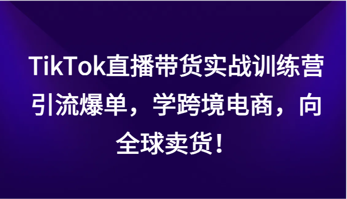 TikTok直播卖货实战演练夏令营，引流方法打造爆款，学跨境电子商务，面向全球卖东西！-蓝悦项目网