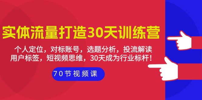 （9782期）实体线-总流量打造出-30天夏令营：个人定位，对比账户，论文选题剖析，投流讲解-70节-蓝悦项目网