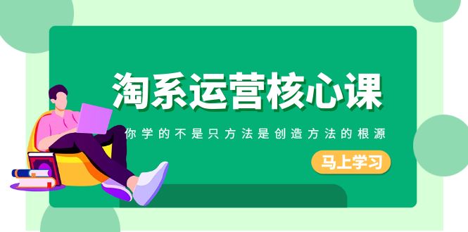 淘宝运营核心课，你学的不仅仅是方式反而是造就方式的根本原因（190堂课）-蓝悦项目网