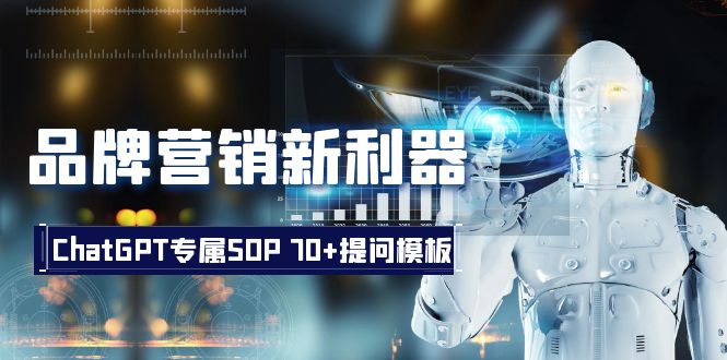 品牌推广新神器：ChatGPT专享SOP，70 提出问题模版-蓝悦项目网