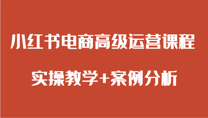 小红书电商高端营销课程 实际操作课堂教学 经典案例-蓝悦项目网