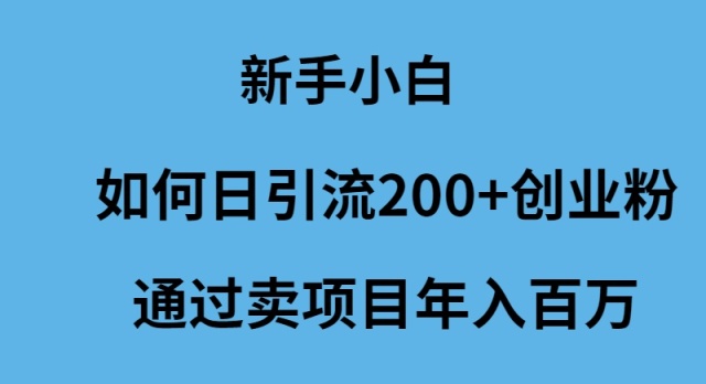 （9668期）新手小白如何日引流200+创业粉通过卖项目年入百万-蓝悦项目网