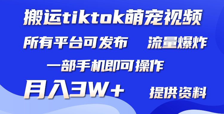 （9618期）运送Tiktok萌宝类视频，一部手机就可以。全部短视频app都可实际操作，月入3W-蓝悦项目网