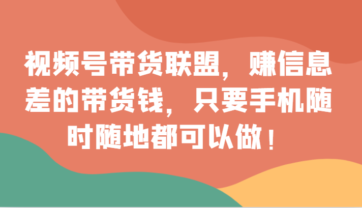 视频号带货同盟，赚信息不对称的卖货钱，仅需手机上随时随地都能做！-暖阳网-优质付费教程和创业项目大全-蓝悦项目网