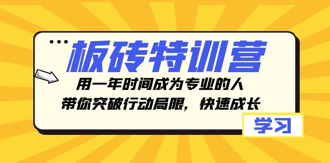 砖头夏令营，用一年时间变成专业人，陪你突破行动局限性，快速增长-暖阳网-优质付费教程和创业项目大全-蓝悦项目网