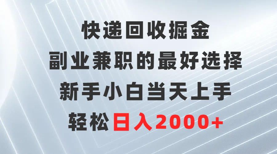 （9546期）快递回收掘金队，副业兼职的最好是选择，新手入门当日入门，轻轻松松日赚2000-蓝悦项目网