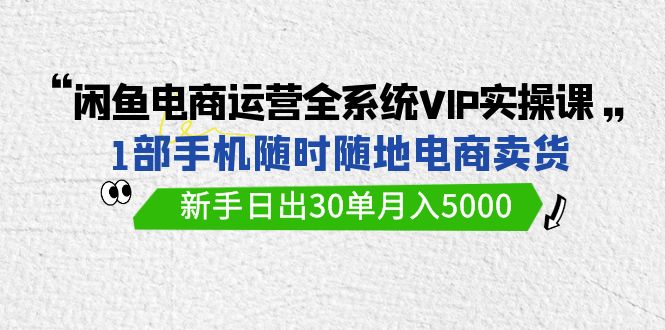 （9547期）闲鱼平台网店运营全系统VIP实战演练课，1手机随时卖东西，初学者日出30单月入5000-蓝悦项目网