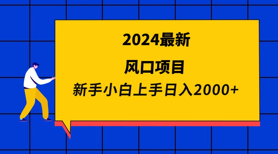 （9483期）2024全新蓝海项目 新手入门日入2000-蓝悦项目网