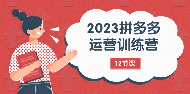 2023拼多多运营训练营：流量底层逻辑，免费+付费流量玩法（12节课）-蓝悦项目网