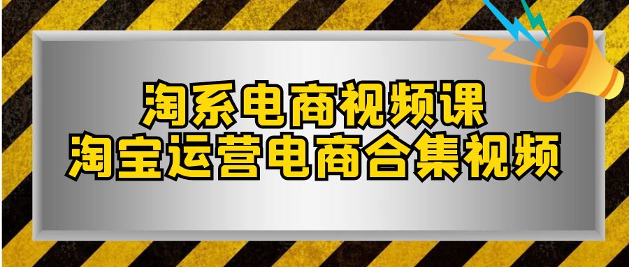 淘宝电商视频课，淘宝店铺运营电子商务合集视频（33堂课）-蓝悦项目网