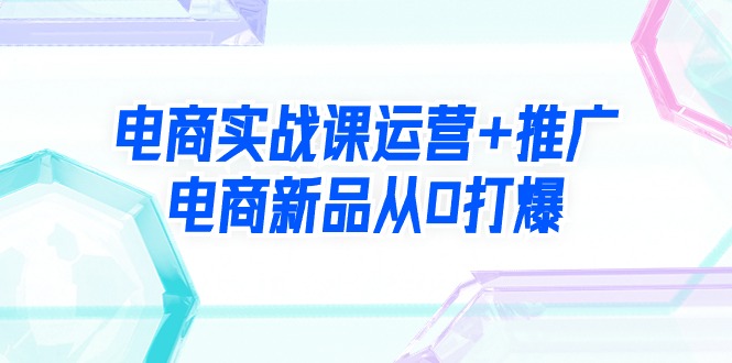 （9313期）电子商务实战演练课经营 营销推广，电子商务新产品从0打穿（99节视频课程）-蓝悦项目网