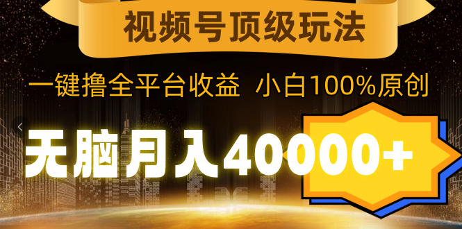 （9281期）视频号顶级玩法，无脑月入40000+，一键撸全平台收益，纯小白也能100%原创-蓝悦项目网