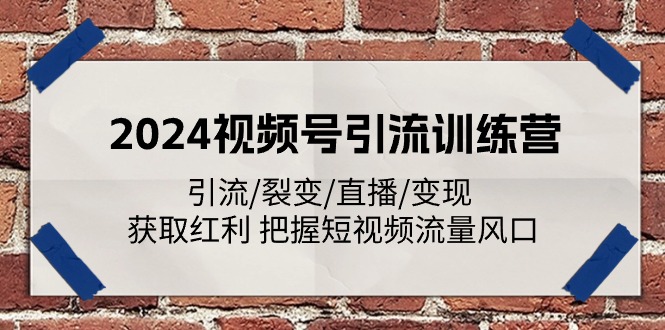 2024视频号引流夏令营：引流方法/裂变式/直播间/转现 获得收益 掌握自媒体流量出风口-蓝悦网_分享蓝悦网创业资讯_最新网络项目资源-蓝悦项目网