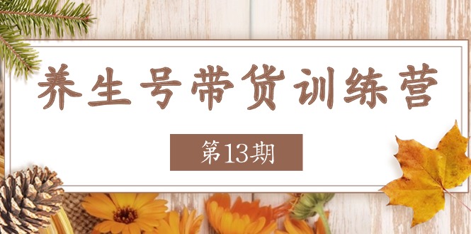 健康养生号卖货夏令营【第13期】盈利更稳定的游戏玩法，使你卖货盈利发生爆炸-蓝悦项目网