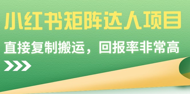 （9019期）小红书的引流矩阵大咖新项目，直接复制运送，收益率非常高-蓝悦项目网