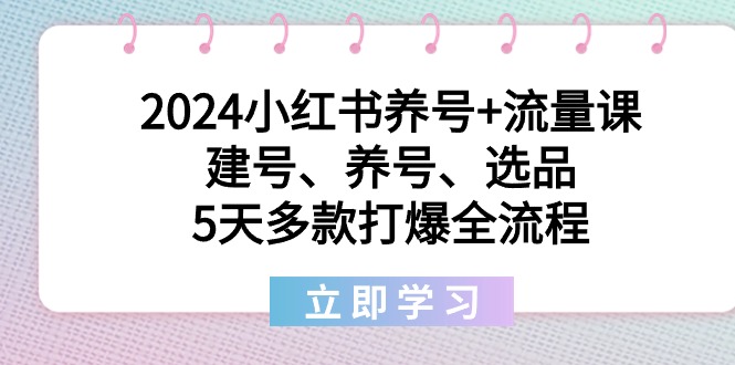 （8974期）2024小红书的起号 总流量课：创号、起号、选款，5天几款打穿全过程-蓝悦项目网