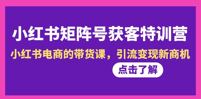 （8909期）小红书的-矩阵账号拓客夏令营-第10期，小红书电商的卖货课，引流变现商机-蓝悦项目网