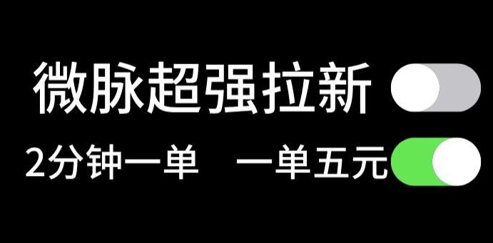 微脉没脑子引流，每一单5元钱，轻轻松松日入三位数-蓝悦项目网