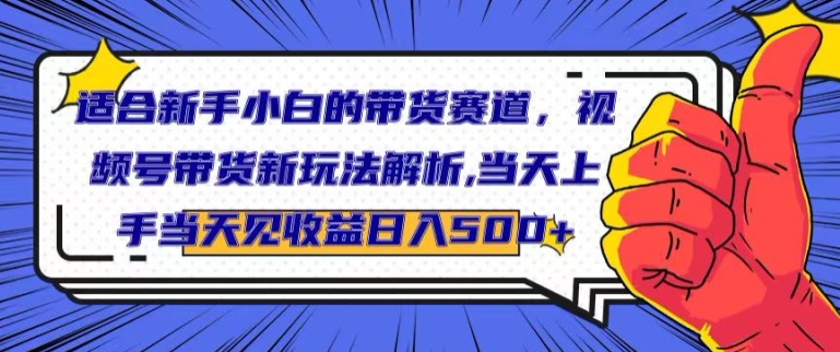 适合新手小白的带货赛道，视频号带货新玩法解析，当天上手当天见收益，日入500+-蓝悦项目网