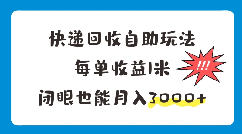 快递回收自助式游戏玩法，每一单盈利1米，闭上眼也可以月入3000-蓝悦项目网