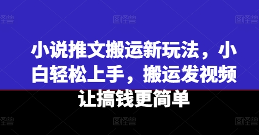 小说推文运送新模式，新手快速上手，运送上传视频让弄钱更方便-蓝悦项目网