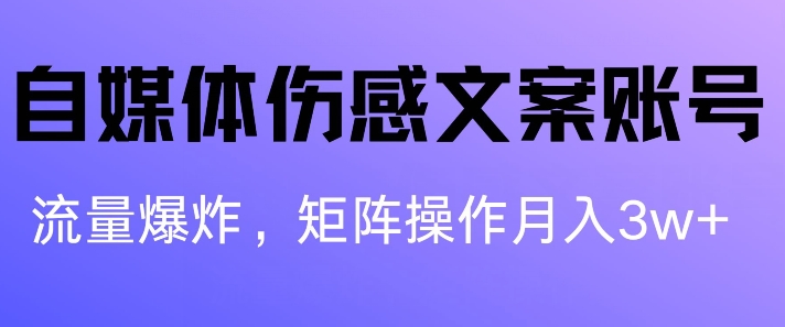 自媒体平台伤感文案账户，制作简单，总流量发生爆炸账户非常容易拷贝，引流矩阵月入1W-蓝悦项目网