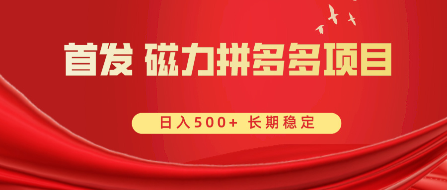 （8611期）首发 磁力拼多多自撸  日入500+-蓝悦项目网