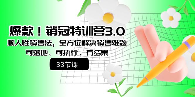 （8573期）爆品！销售冠军夏令营3.0之顺人的本性销售法，多方位处理市场销售难点、可落地式、可执…-蓝悦项目网