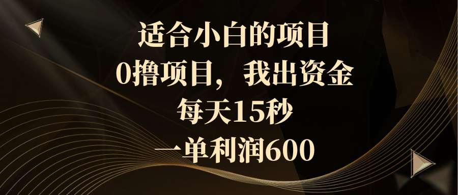 （8571期）适宜新手的新项目，0撸新项目，我出资产，每日15秒，一单利润600-蓝悦项目网