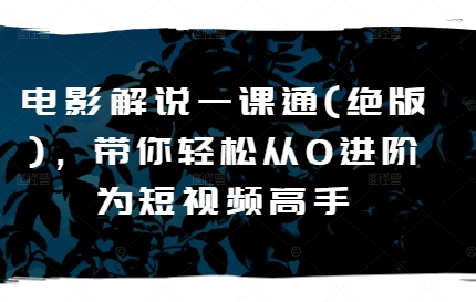 影视解说一课通(稀有)，陪你轻轻松松从0升阶为短视频高手-蓝悦项目网