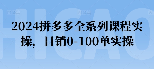 2024拼多多平台全主题课程实际操作，日销0-100单实际操作【必读】-蓝悦项目网