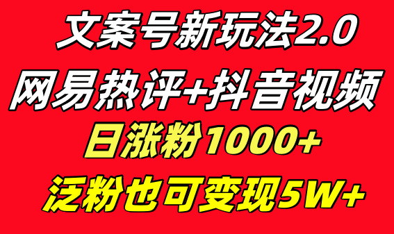 （8484期）创意文案号新模式 网易热评 抖音视频文案 一天增粉1000  多种多样变现方式 泛粉也可变现-蓝悦项目网