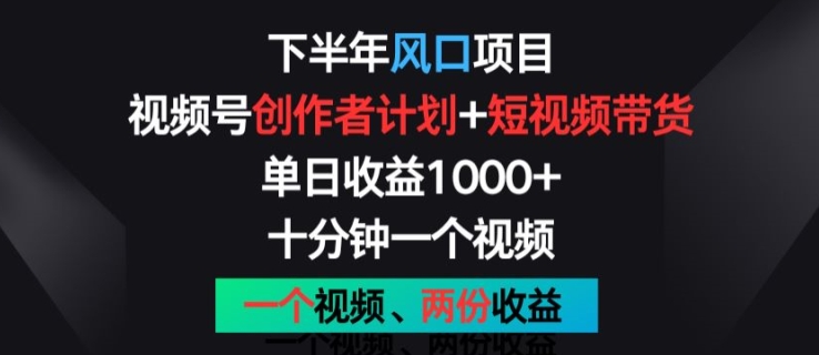 后半年蓝海项目，微信视频号创作者计划 短视频带货，一个视频二份盈利，十分钟一个视频【揭密】-蓝悦项目网