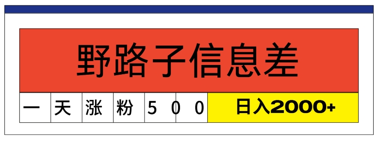 全新《1000个野路子信息差》新模式，字幕视频，单独著作暴粉5000 ，新手快速上手-蓝悦项目网