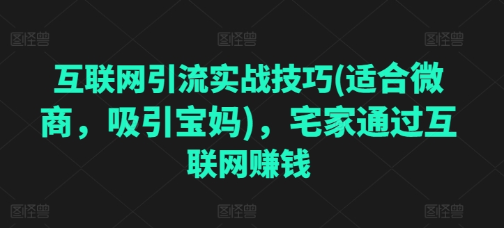 互联网引流实战经验(适宜微商代理，吸引住宝妈妈)，蹲在家里根据网络赚钱-蓝悦项目网