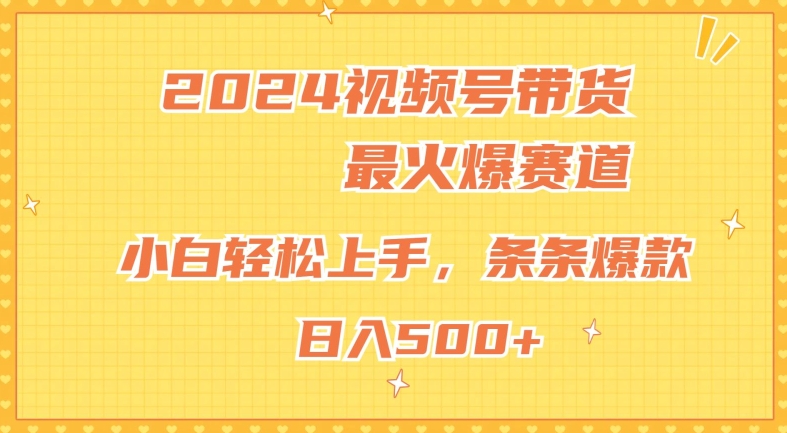 2024微信视频号超受欢迎跑道，新手快速上手，纯原创设计AI卖货，一条条爆品-蓝悦项目网