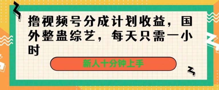 撸视频号分成计划收益，国外整蛊综艺，每天只需一小时，新人十分钟上手-蓝悦项目网