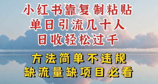 小红书靠复制粘贴单日引流几十人目收轻松过千，方法简单不违规【揭秘】-蓝悦项目网