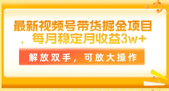 全新视频号带货掘金队新项目，每月平稳月盈利1w ，解锁新技能，可变大实际操作-蓝悦项目网