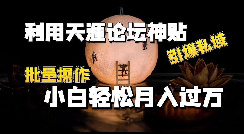 运用天涯社区神贴，点爆公域，批量处理，新手轻轻松松月入了w【揭密】-蓝悦项目网