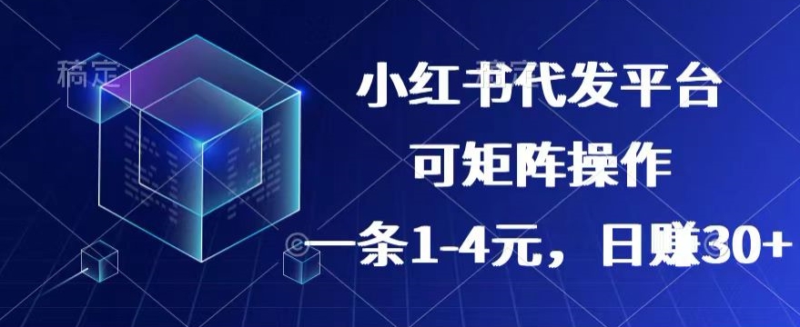 【小红书的 抖音视频】代发平台，一条1~4元，日赚30 的可靠小程序，可引流矩阵实际操作-蓝悦项目网