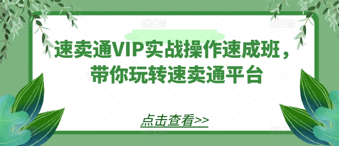 全球速卖通VIP实战操作短期培训班，带你玩转速卖通平台-蓝悦项目网