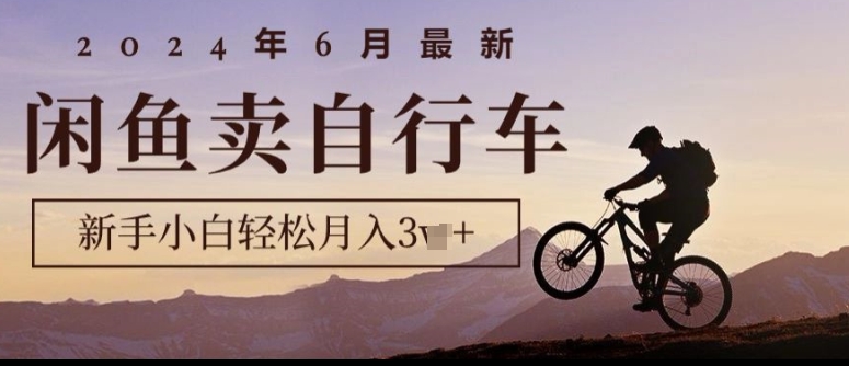 2024年6月全新淘宝闲鱼单车，新手入门轻轻松松月收入1w ，零风险新项目-蓝悦项目网