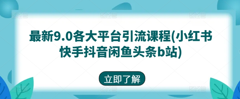 全新9.0各个平台引流课程(小红书的快手抖音闲剁椒鱼头条b站)-蓝悦项目网